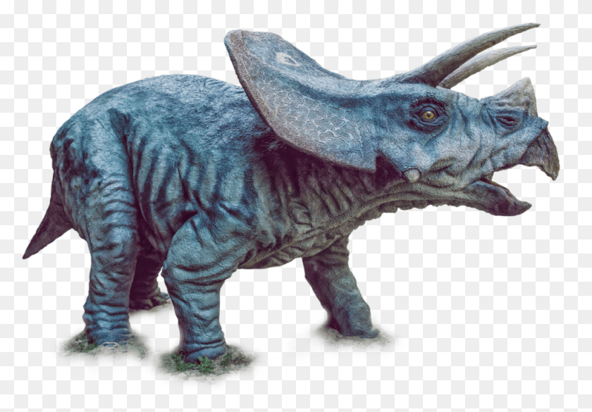 971x654 Динозавр Динозавр Прозрачный, Рептилия, Животное, Тираннозавр Png Скачать