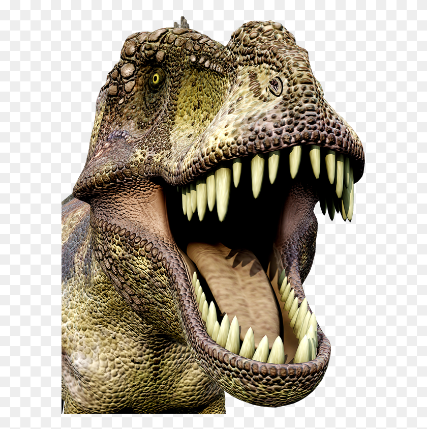 599x783 Dinosaurios, Reptile, Animal, Lizard HD PNG Download