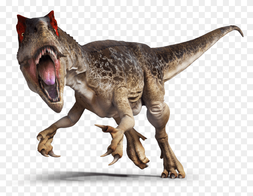 1100x835 Динозавры Аллозавр Динозавр, Рептилия, Животное, Тираннозавр Png Скачать