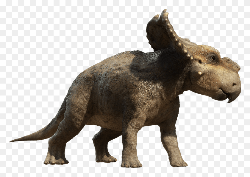 1200x820 Динозавры Динозавр, Рептилия, Животное, Тираннозавр Hd Png Скачать