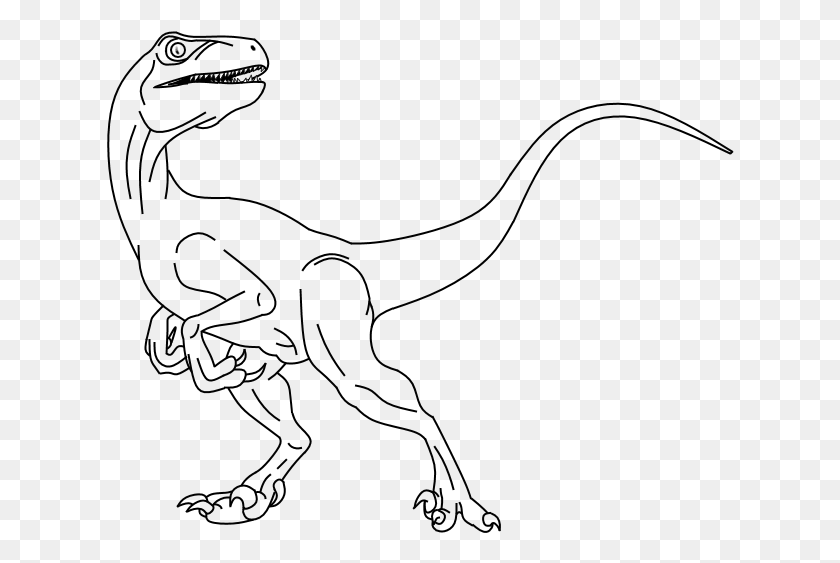 628x503 Dinosaurs Drawing Raptor Blue Jurassic World Para Colorear, Gray, Outdoors, World Of Warcraft HD PNG Download