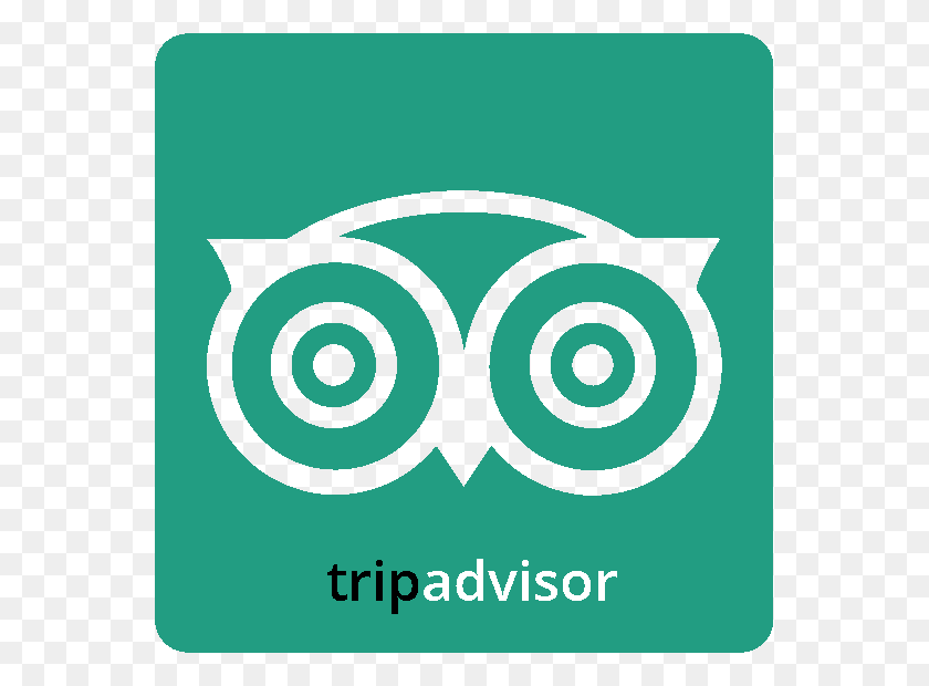 559x560 Directions Tripadvisor Logo Bold White Transparent, Label, Text, Sticker HD PNG Download