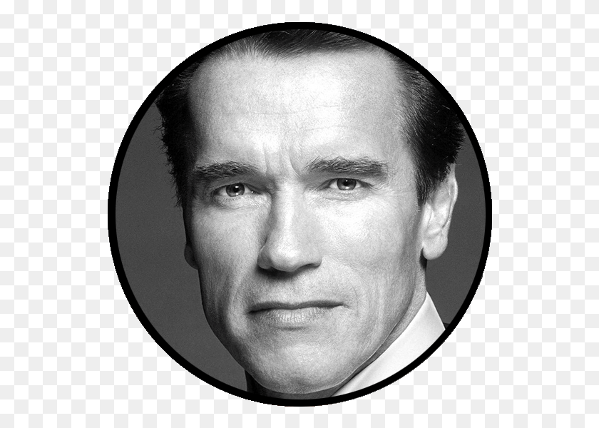 540x540 Director Tom Holland Arnold Schwarzenegger, Head, Face, Person HD PNG Download