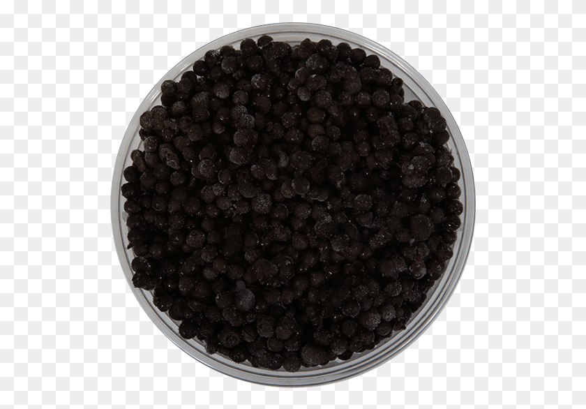 525x526 Dirt Clipart Dirt Hole Bilberry, Plant, Produce, Food HD PNG Download
