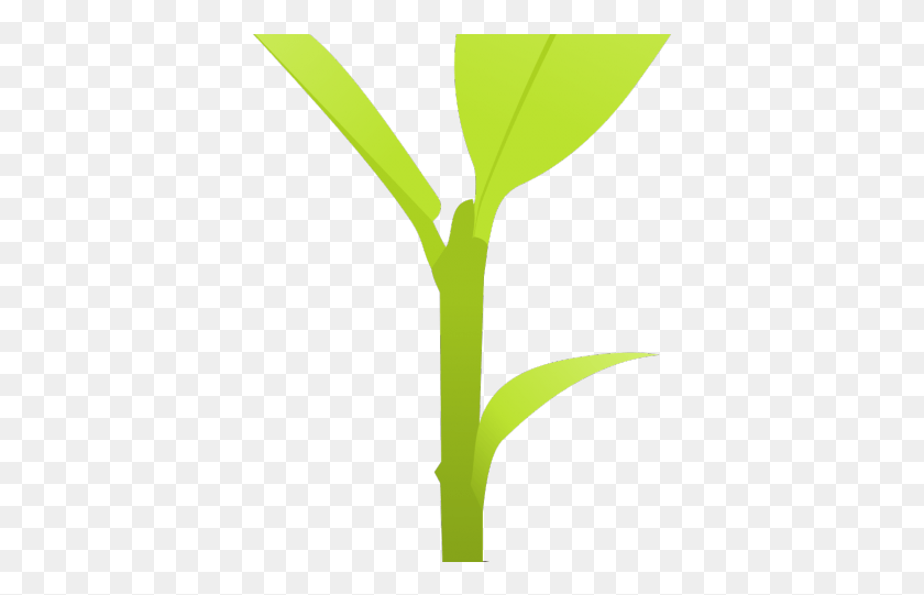 383x481 Грязь Клипарт Маленькое Растение Комнатное Растение, Продукты, Еда, Овощ Hd Png Скачать