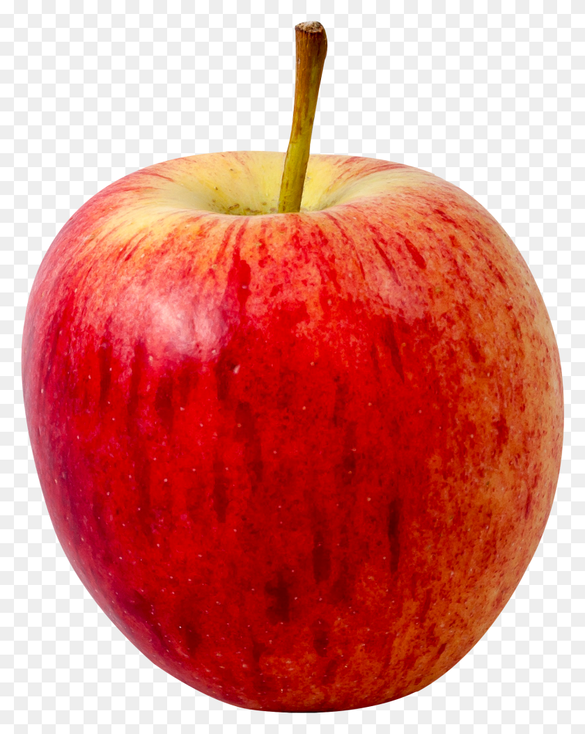 1636x2086 Найдите Идеи На Тему `` Фрукты '' Изображения Apple Fruit На Прозрачном Фоне, Растение, Еда, Овощи Hd Png Download