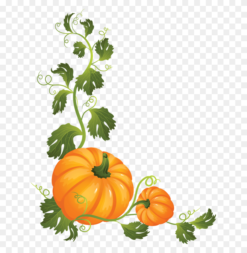 632x800 Discover Ideas About Pumpkin Vine Pumpkin On A Vine Clipart, Plant, Vegetable, Food HD PNG Download