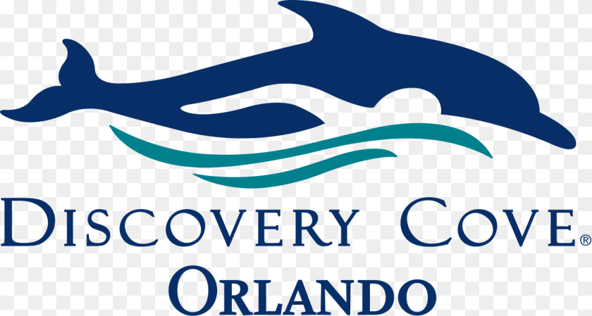 Discovery Cove, Animal, Dolphin, Mammal, Sea Life PNG