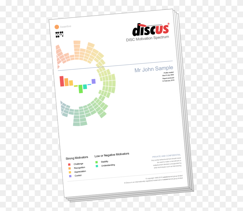 503x672 Discus Motivation Spectrum Report Cover Disc Assessment, Text, Flyer HD PNG Download