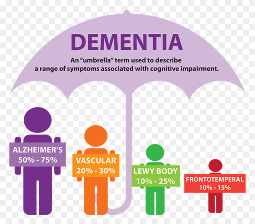 923x804 Disease Alzheimer39s Disease Dementia, Flyer, Poster, Paper HD PNG Download