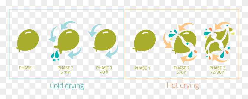 2143x758 Disegni Acquaen Graphic Design, Plant, Text, Pac Man HD PNG Download
