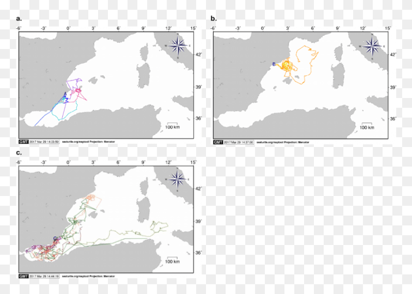 836x579 Dispersion Patterns For Loggerhead Sea Turtle Post Hatchlings Straat Van Gibraltar, Plot, Map, Diagram HD PNG Download