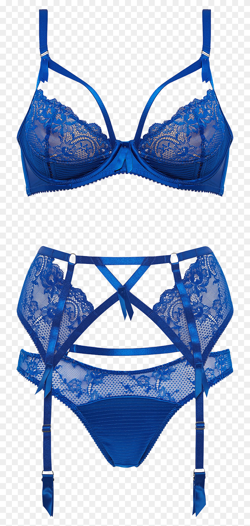 730x1704 Dita Von Teese Madame X Bra Panties And Suspender Lingerie Azul Transparente, Clothing, Apparel, Underwear HD PNG Download