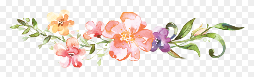 978x248 Divider Clipart Flower Watercolor Flower Divider, Plant, Blossom, Petal HD PNG Download