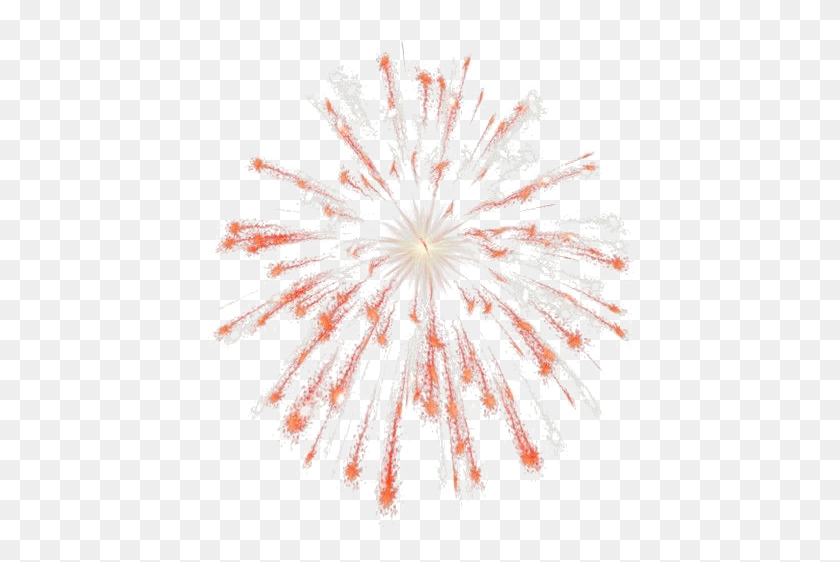 441x502 Diwali Fireworks, Graphics, Plant HD PNG Download