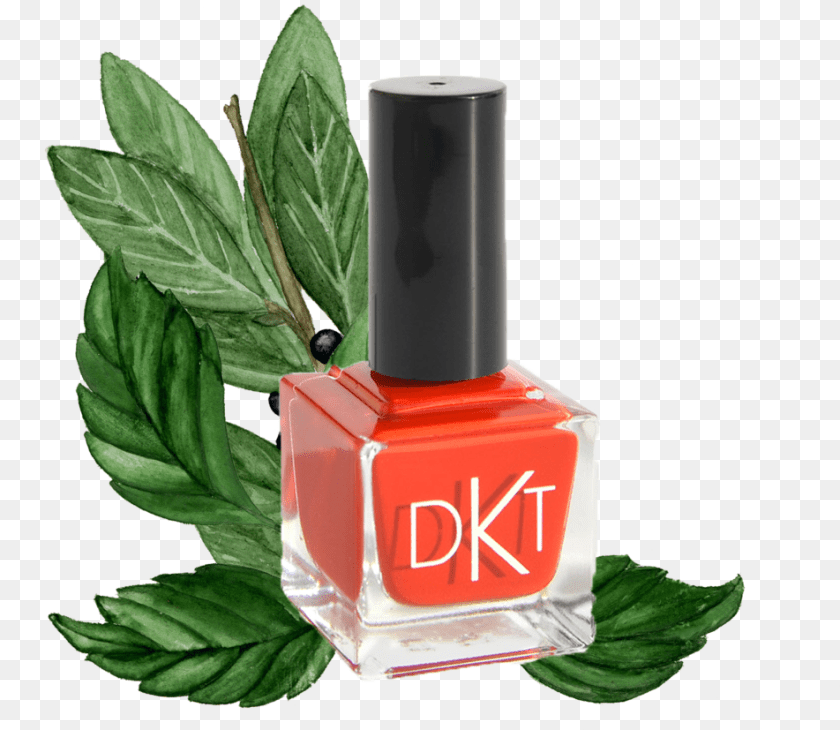 952x827 Dkt Polish Nail Polish, Cosmetics, Plant, Nail Polish PNG