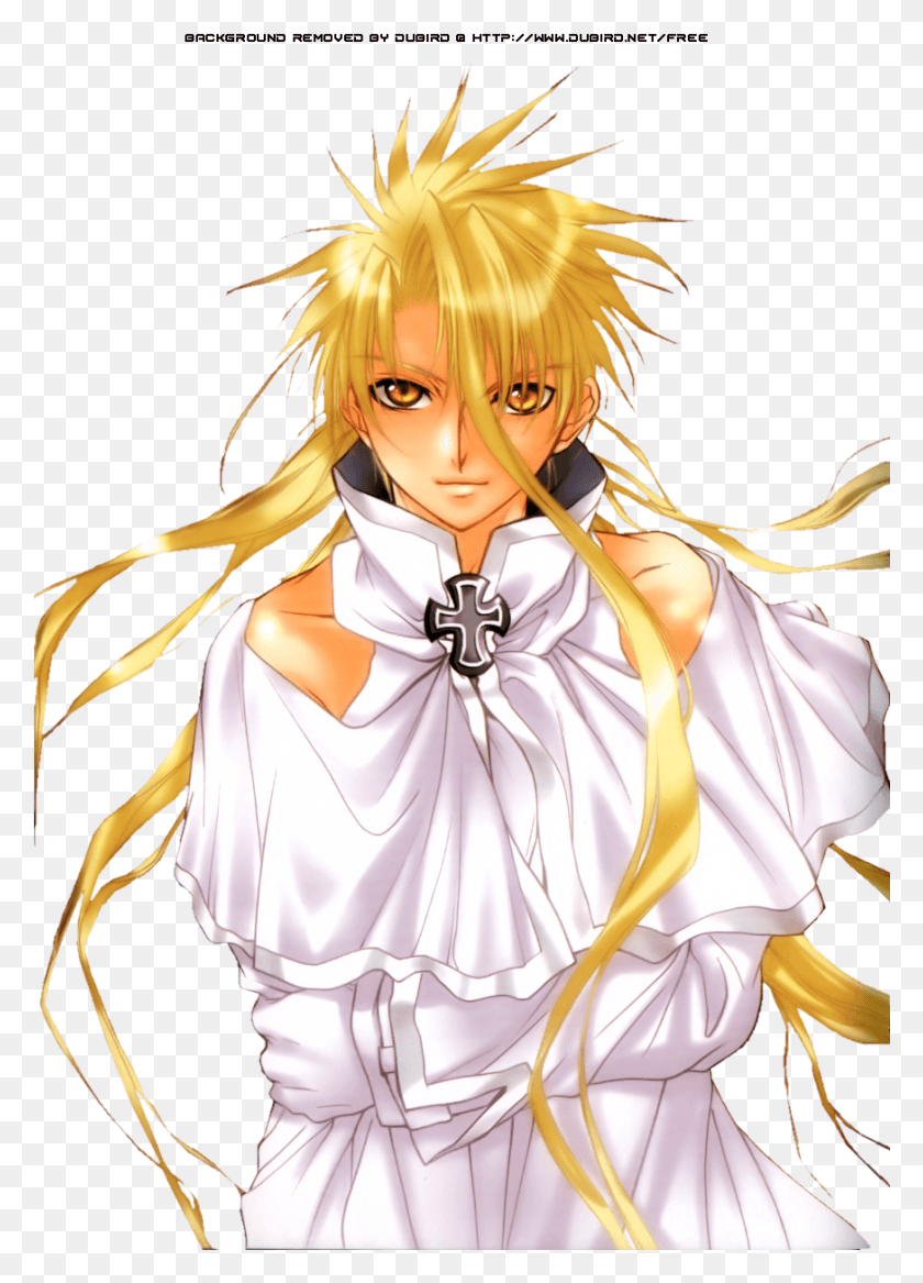 873x1239 Descargar Png / Dn Angel Krad, Manga, Comics, Libro Hd Png