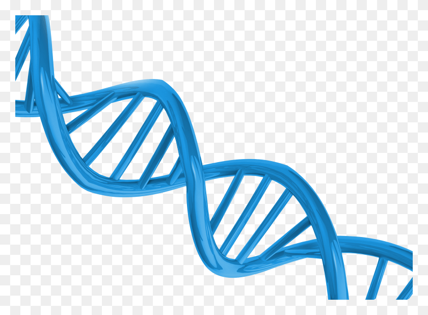 7445x5334 Dna HD PNG Download