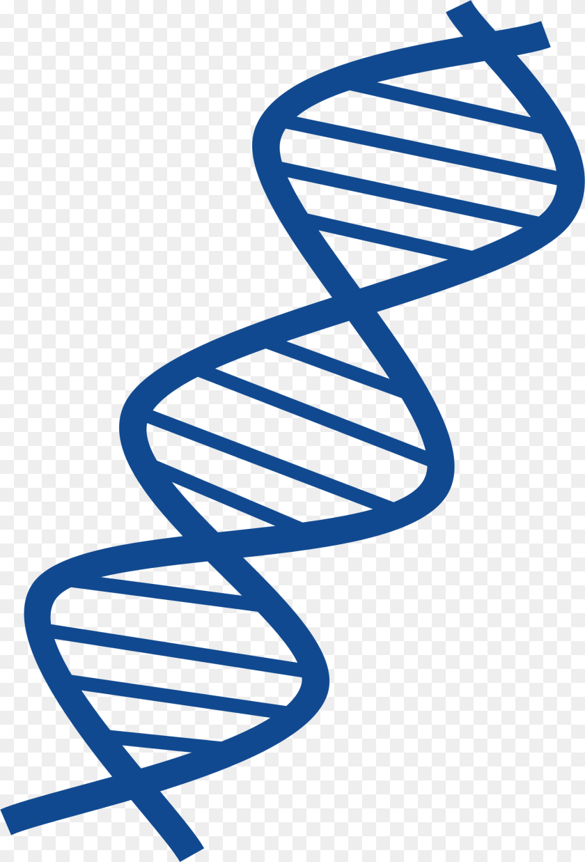 1531x2254 Dna, Architecture, Building, Coil, House Sticker PNG