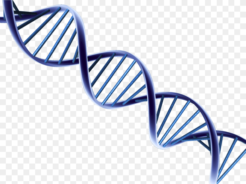 1024x768 Dna, Architecture, Building, House, Housing Clipart PNG