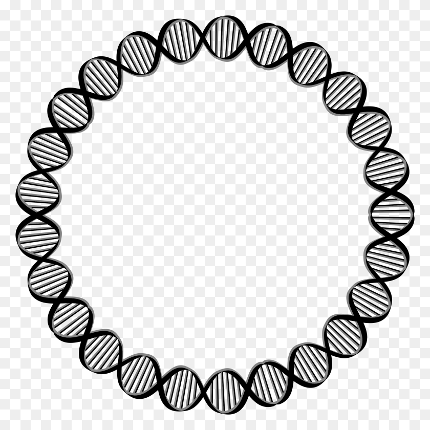 2352x2352 Dna Biology Structure Chain Helix Genetic Genetics Dna Circle, Bracelet, Jewelry, Accessories HD PNG Download