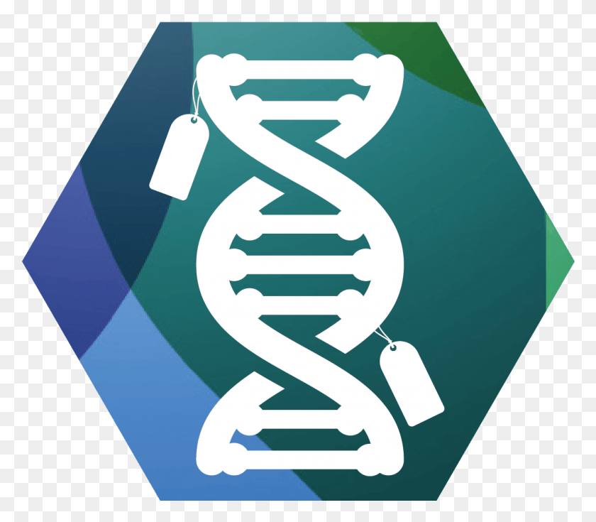 1061x919 Dna Clipart Epigenetics Epigenetics, Symbol, Label, Text HD PNG Download