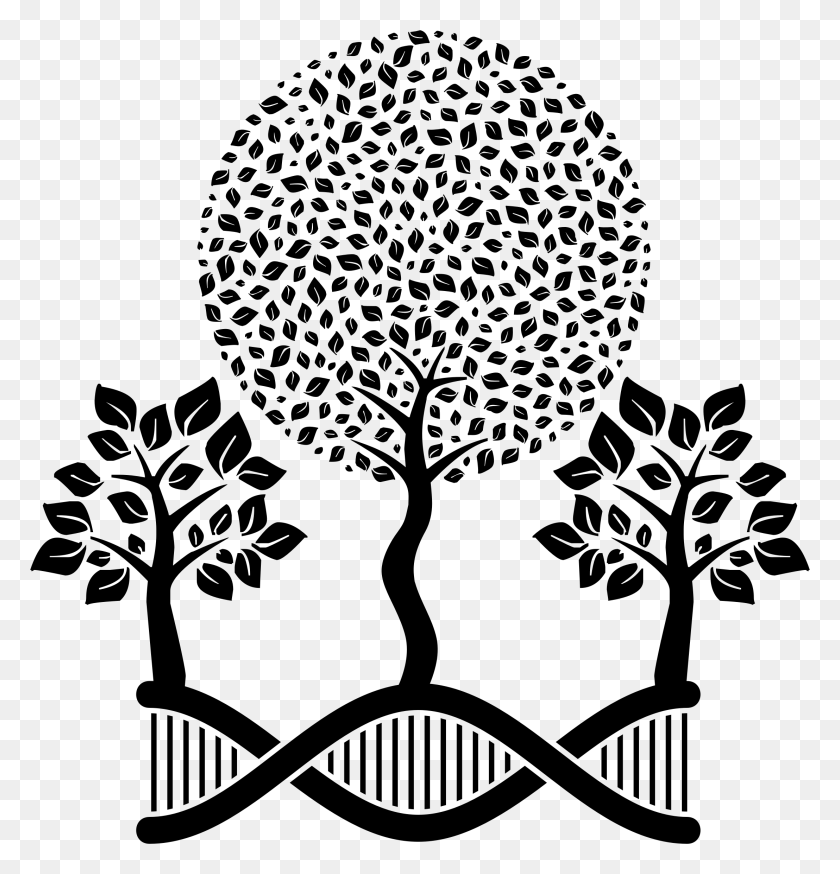 2216x2314 Dna Clipart Tree Cabeza Con Arbol, Gray, World Of Warcraft HD PNG Download
