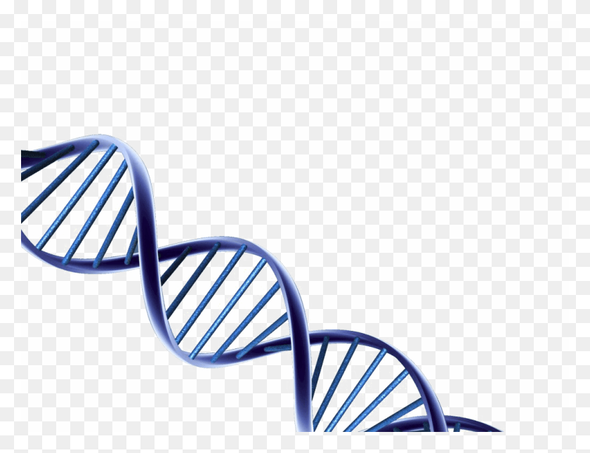1024x768 Dna Dna, Chair, Furniture, Text HD PNG Download