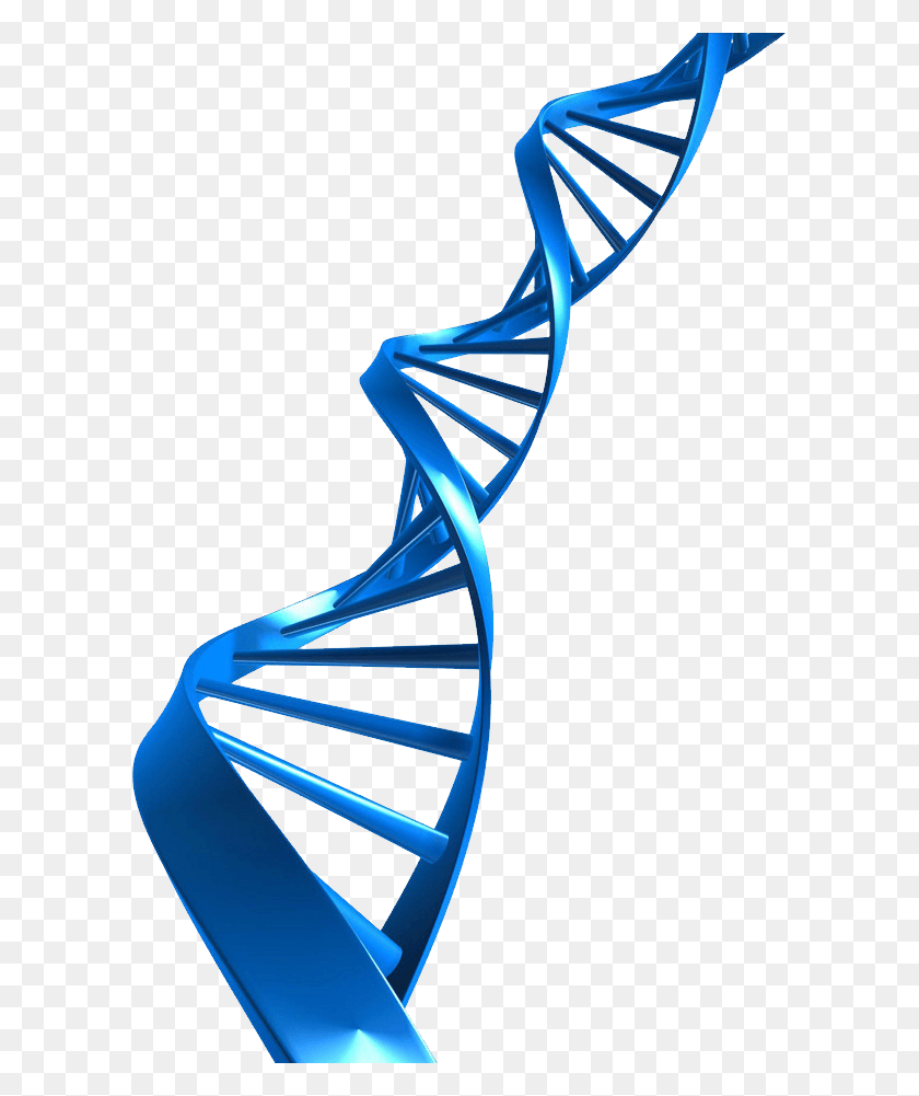 597x941 Dna Dna No Background Blue, Handrail, Banister, Outdoors HD PNG Download