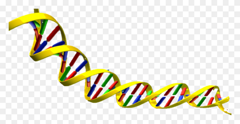 1507x723 Dna Double Helix, Clothing, Apparel, Lawn Mower HD PNG Download