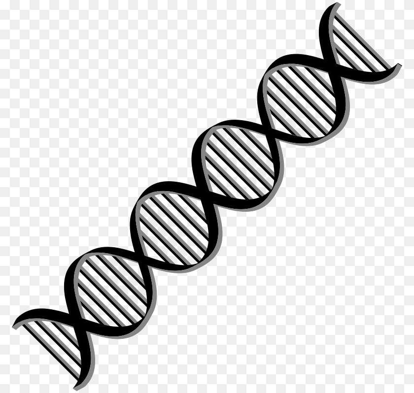Dna Download Dna Helix, Spiral, Coil, Cutlery, Fork Transparent PNG