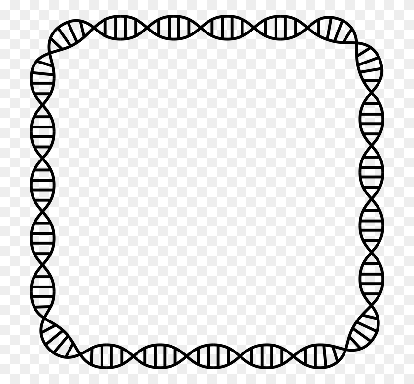 720x720 Dna Structure Clipart Dna Border Dna Frame, Gray, World Of Warcraft HD PNG Download