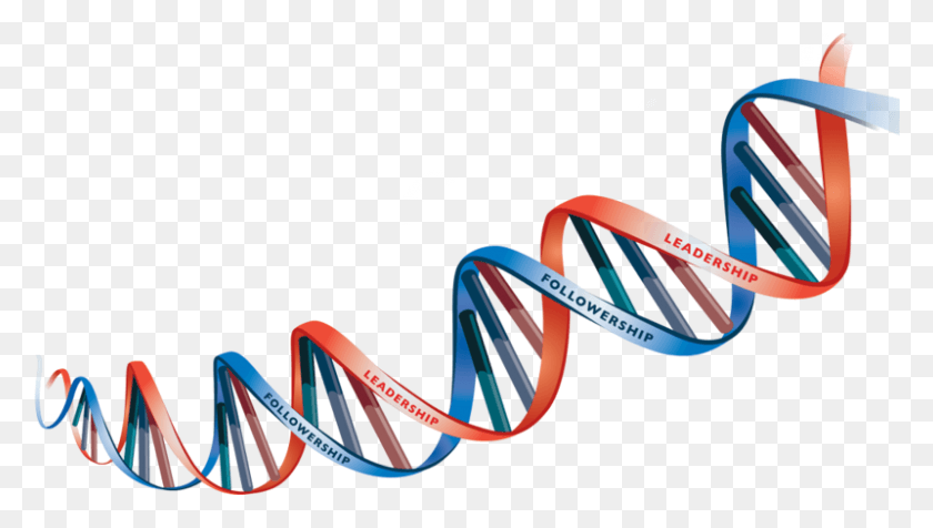 800x427 Dna Transparent Dna Strand No Background, Bicycle, Vehicle, Transportation HD PNG Download