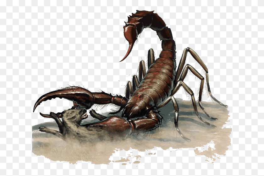 637x502 Dnd 5e Giant Scorpion Giant Scorpion Dnd, Lobster, Seafood, Sea Life HD PNG Download