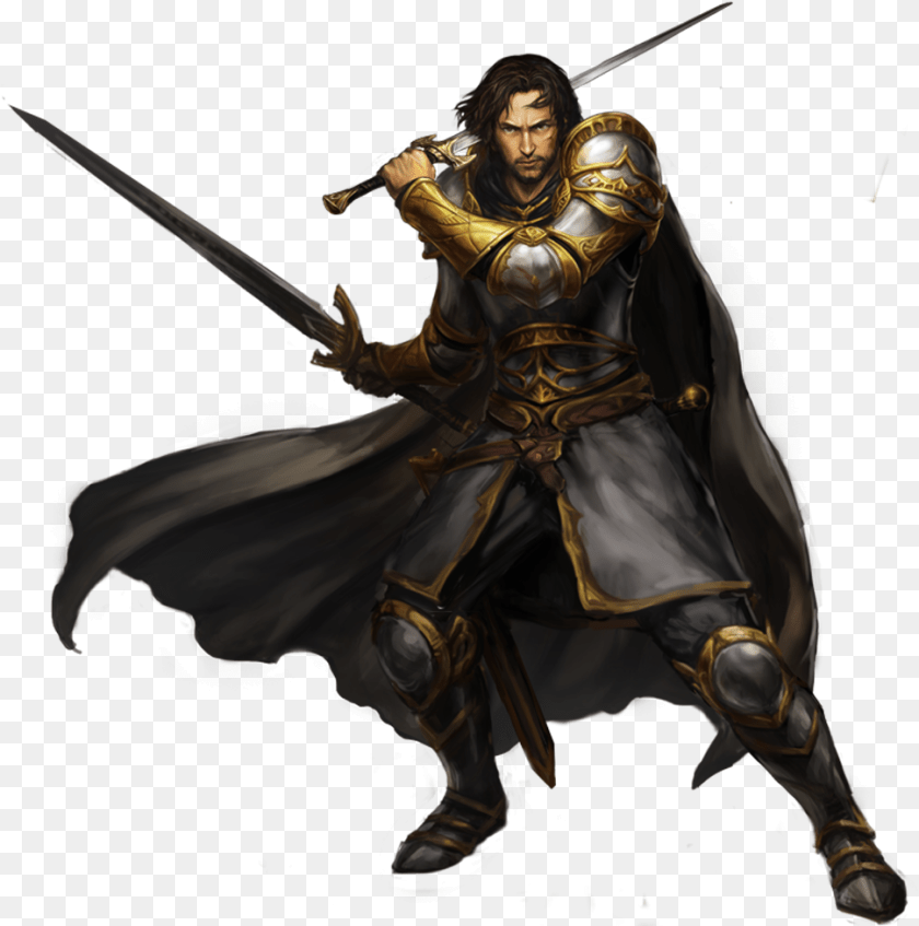 969x977 Dnd Warrior Human Fighter Dual Wield, Adult, Wedding, Weapon, Sword Transparent PNG