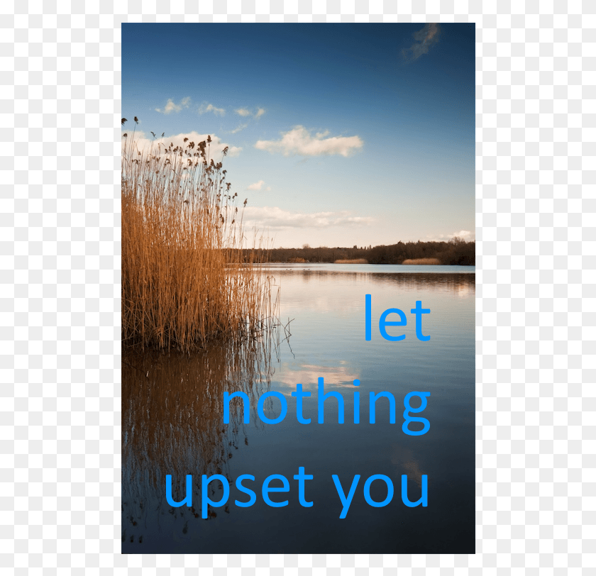 502x752 Do Not Be Upset Reflection, Grass, Plant, Lawn HD PNG Download