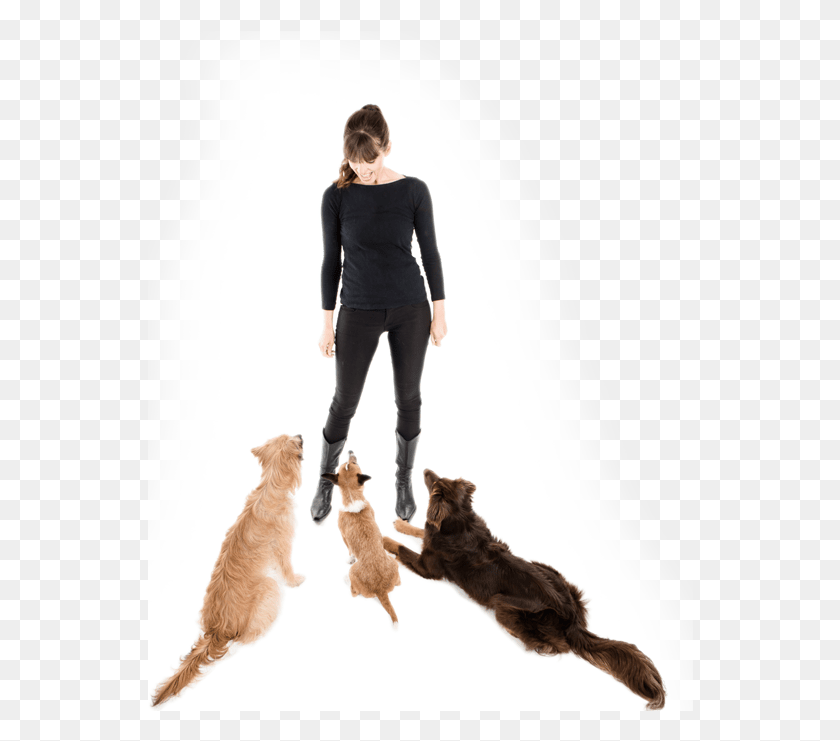 546x681 Do This Cat Jumps, Person, Shoe, Clothing HD PNG Download