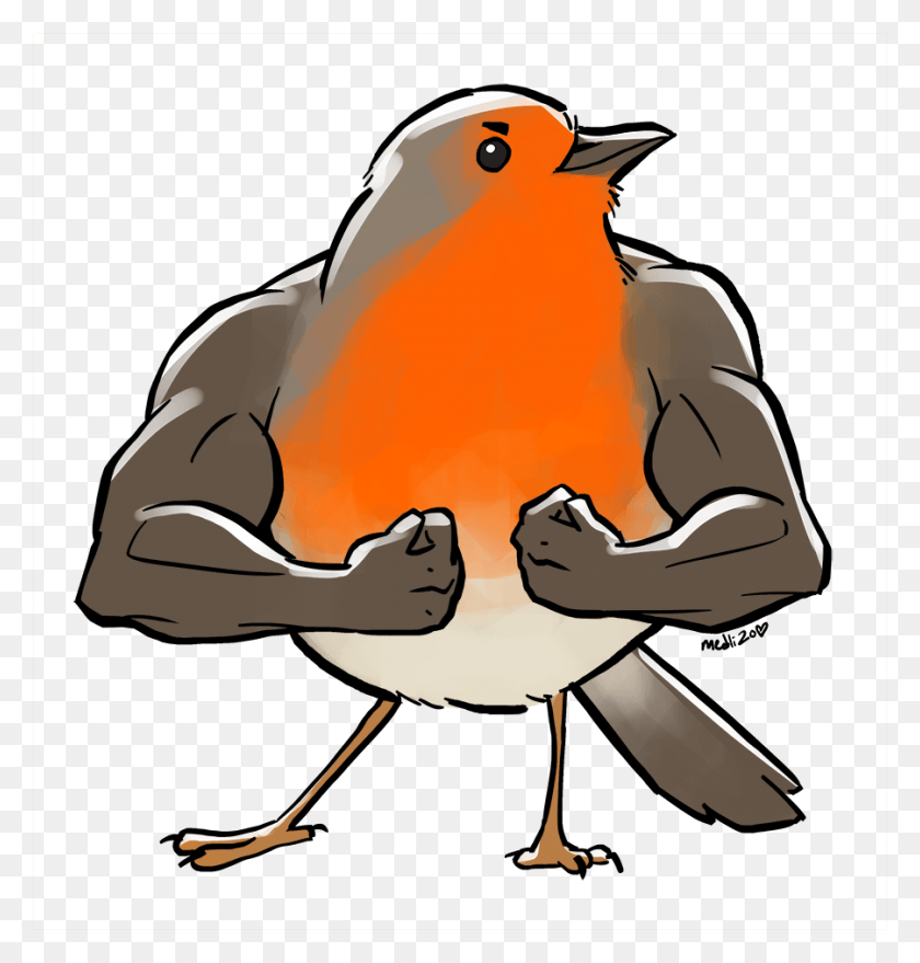 900x945 Do You Accept Drawings Of Birds With Arms Too Birds With Arms Cartoon, Animal, Bird, Finch HD PNG Download