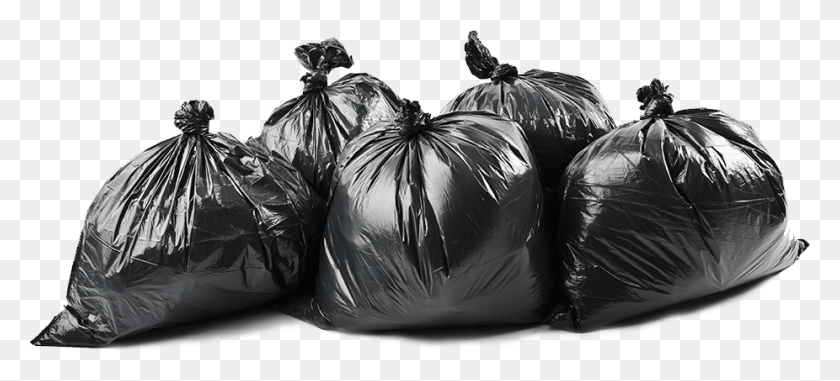 926x382 Do You Have Trash We Can Help You With That Bin Bag, Plastic Bag, Plastic, Bird HD PNG Download