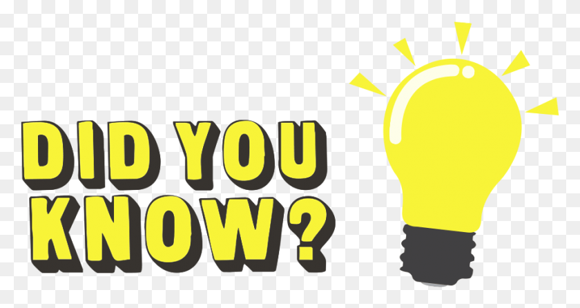 907x449 Do You Know Did You Know Sign, Light, Lightbulb, Text HD PNG Download