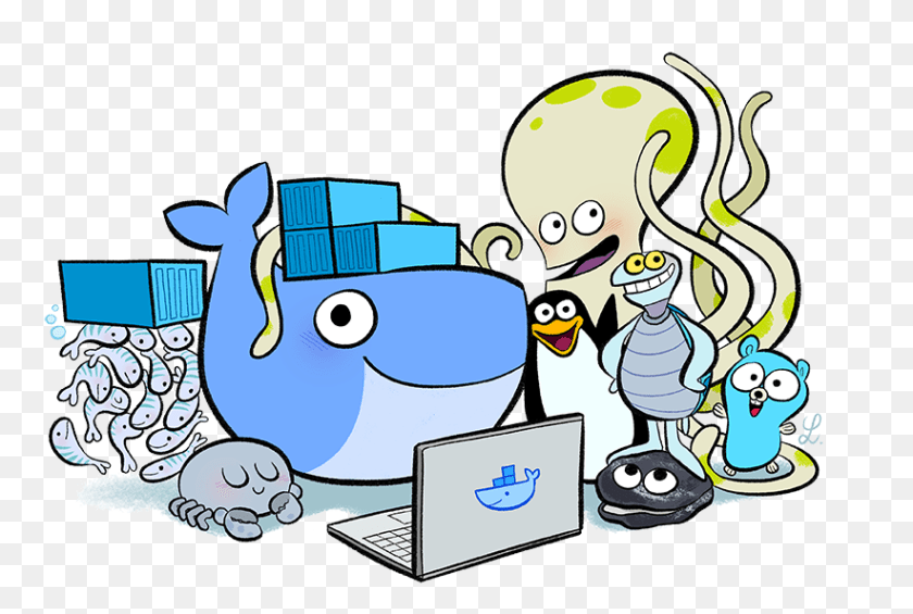 Docker Tutorial Containers Vms And Docker For Beginners, Animal, Penguin, Bird, Publication PNG