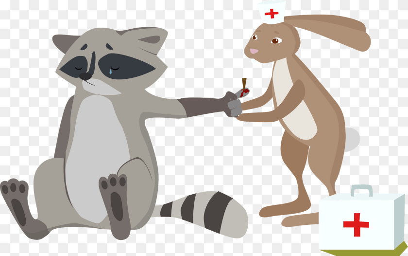 Doctor Animal Clipart, First Aid, Kangaroo, Mammal Transparent PNG