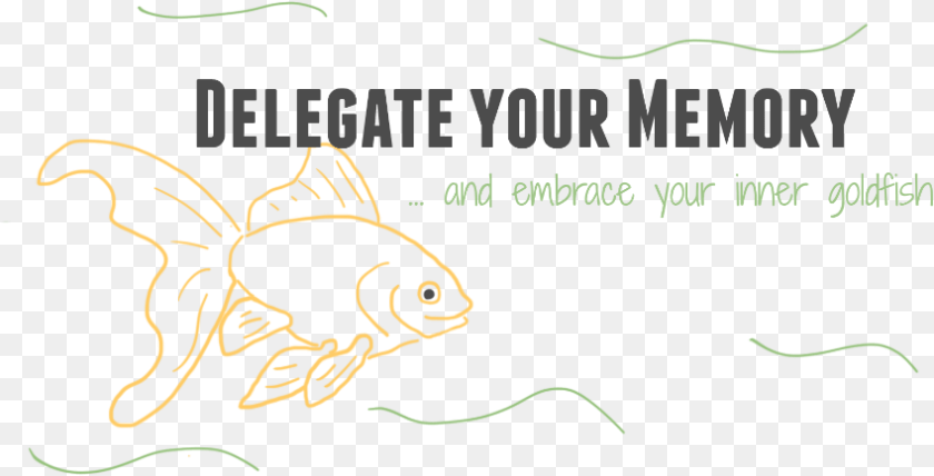 849x433 Documentation Is Delegation, Animal, Sea Life, Fish, Reptile Sticker PNG