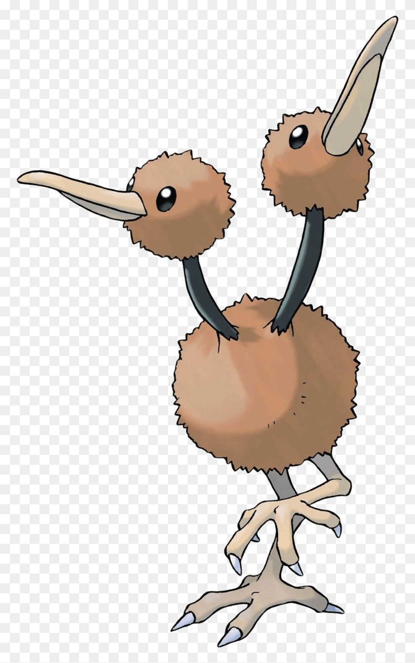 775x1281 Descargar Png / Doduo Pokemon Doduo Evolution, Kiwi Bird, Bird, Animal Hd Png