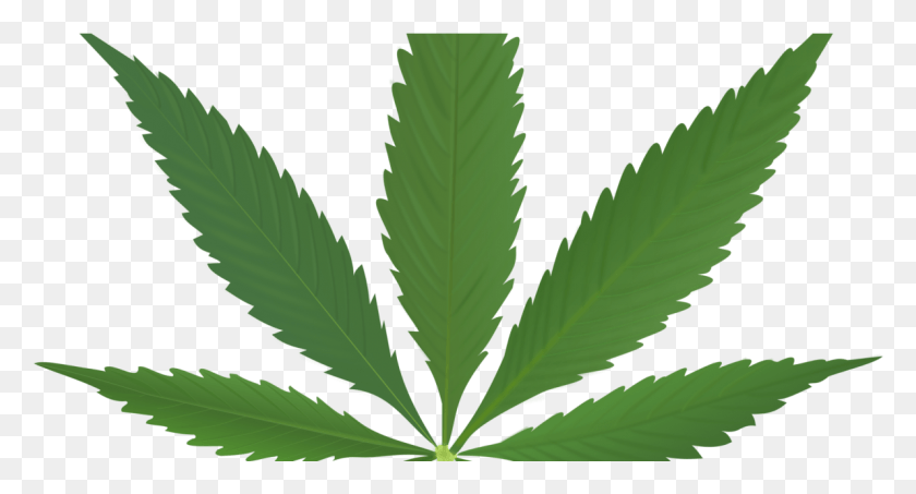 1191x601 Does Marijuana Make You More Creative Medical Marijuana Leaf, Plant, Weed, Hemp HD PNG Download