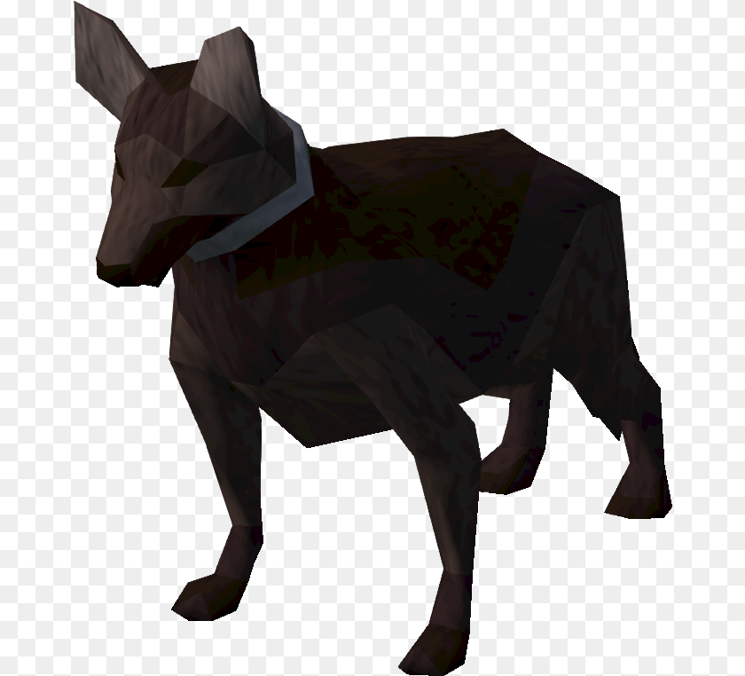 Dog, Animal, Mammal, Cat, Pet PNG
