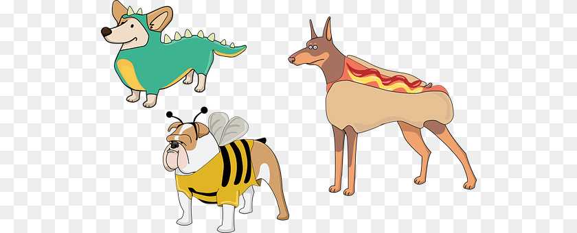 Dog Animal, Kangaroo, Mammal PNG