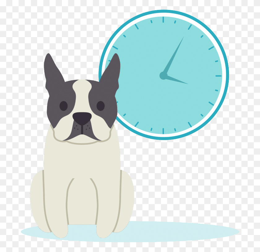 709x755 Dog Alone Boston Terrier, Analog Clock, Clock, Mammal HD PNG Download