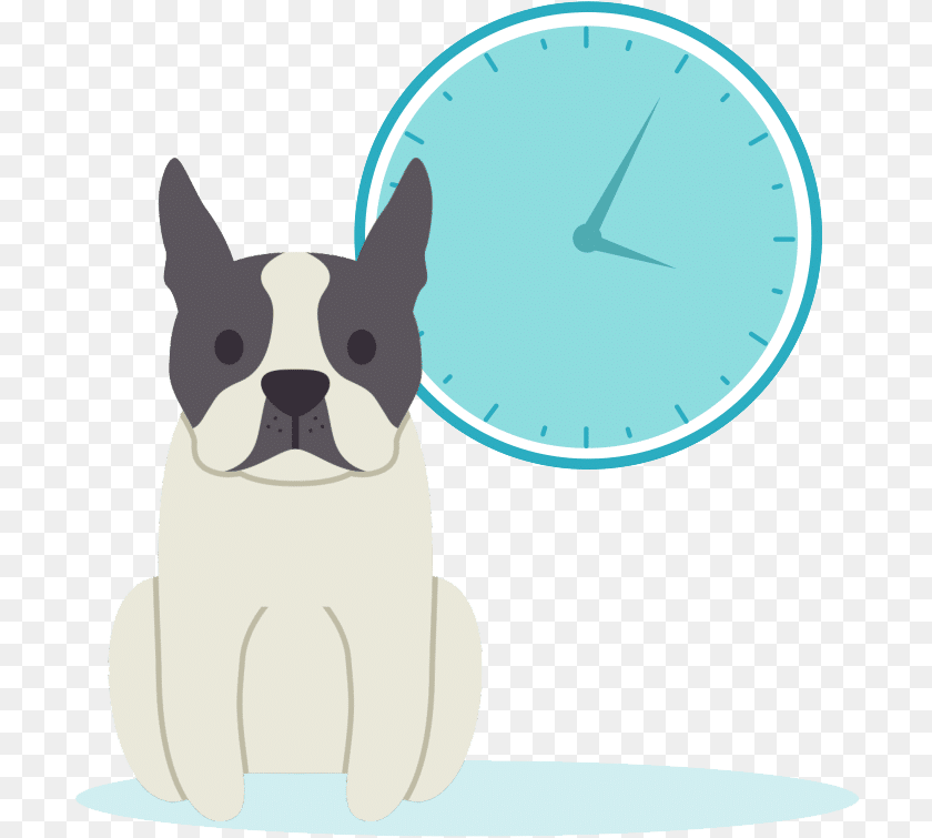 Dog Alone Boston Terrier, Analog Clock, Clock, Animal, Cat Transparent PNG