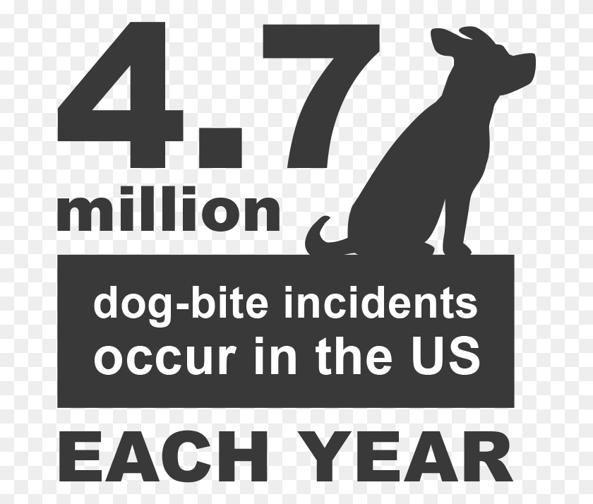 679x654 Dog Bite Statistics And Facts Guard Dog, Text, Poster, Advertisement HD PNG Download